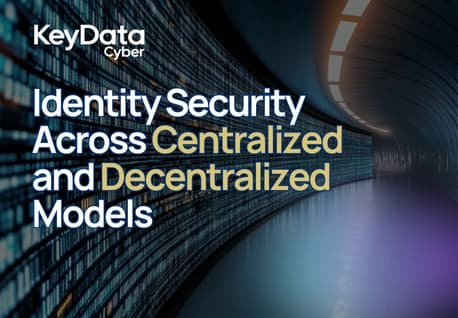 Identity Security Across Centralized and Decentralized Models