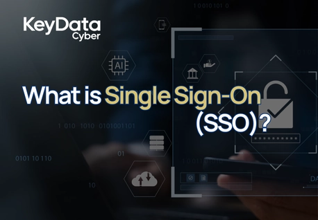 What is Single Sign-On (SSO)?